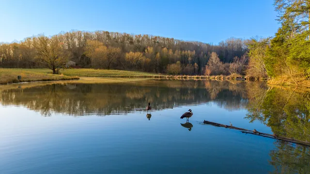 $1,500,000 | 4975 Browntown Road, Chattanooga, TN 37415