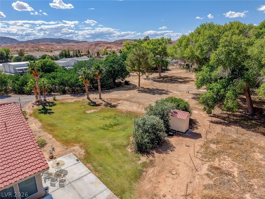 1950 Bowman Road Logandale, NV 89021 - Photo 66 of 81 An aerial perspective reveals a vast yard with mature trees and desert landscape, framed by distant mountains.