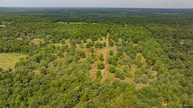 $1,550,000 | 455 Southeast Se Cr, Scroggins, TX 75480
