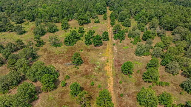 $1,550,000 | 455 Southeast Se Cr, Scroggins, TX 75480