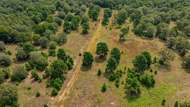 $1,550,000 | 455 Southeast Se Cr, Scroggins, TX 75480