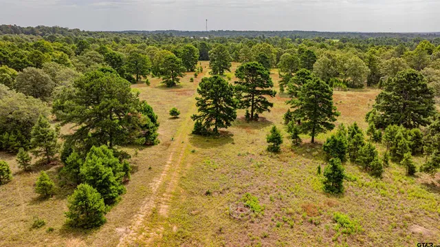 $1,550,000 | 455 Southeast Se Cr, Scroggins, TX 75480