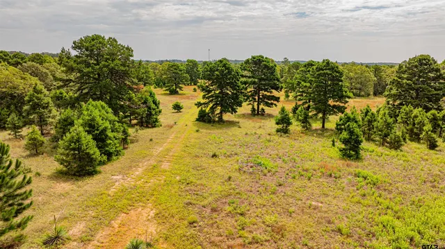 $1,550,000 | 455 Southeast Se Cr, Scroggins, TX 75480