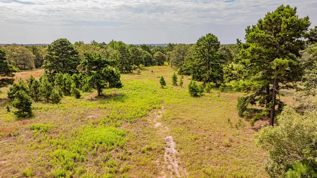 $1,550,000 | 455 Southeast Se Cr, Scroggins, TX 75480