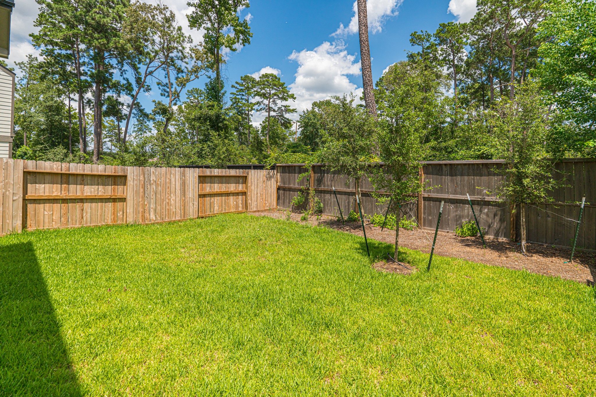 152 Red Cascade Trail Willis, TX 77318 - Photo 35 of 39 a view of a backyard with a slide