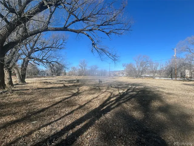 a view of dirt yard with a large tree