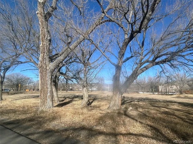 a view of a yard covered with snow on the road