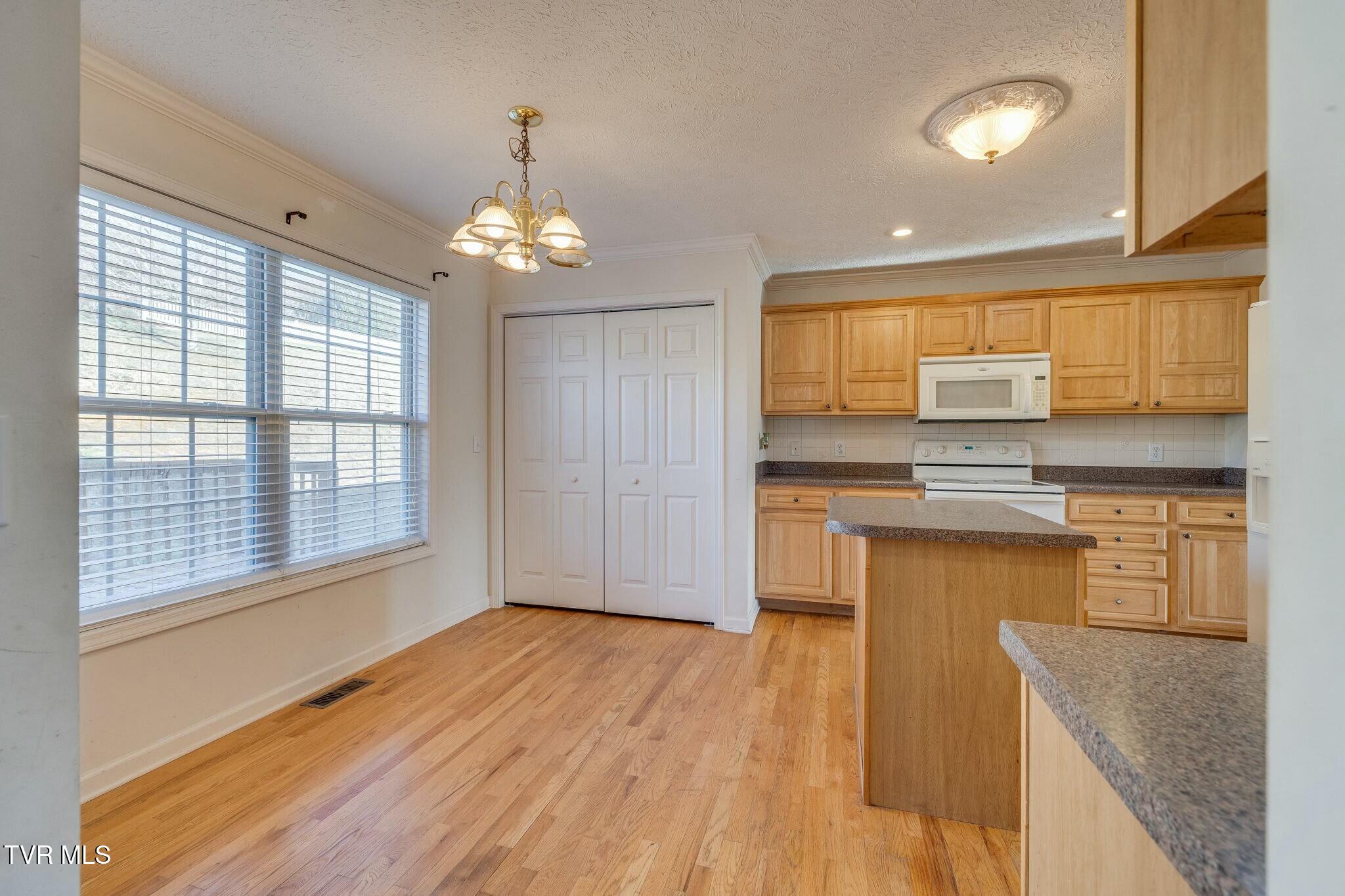 137 Austin Ridge Court Gray, TN 37615 - Photo 13 of 54 tempImageXUfdSP