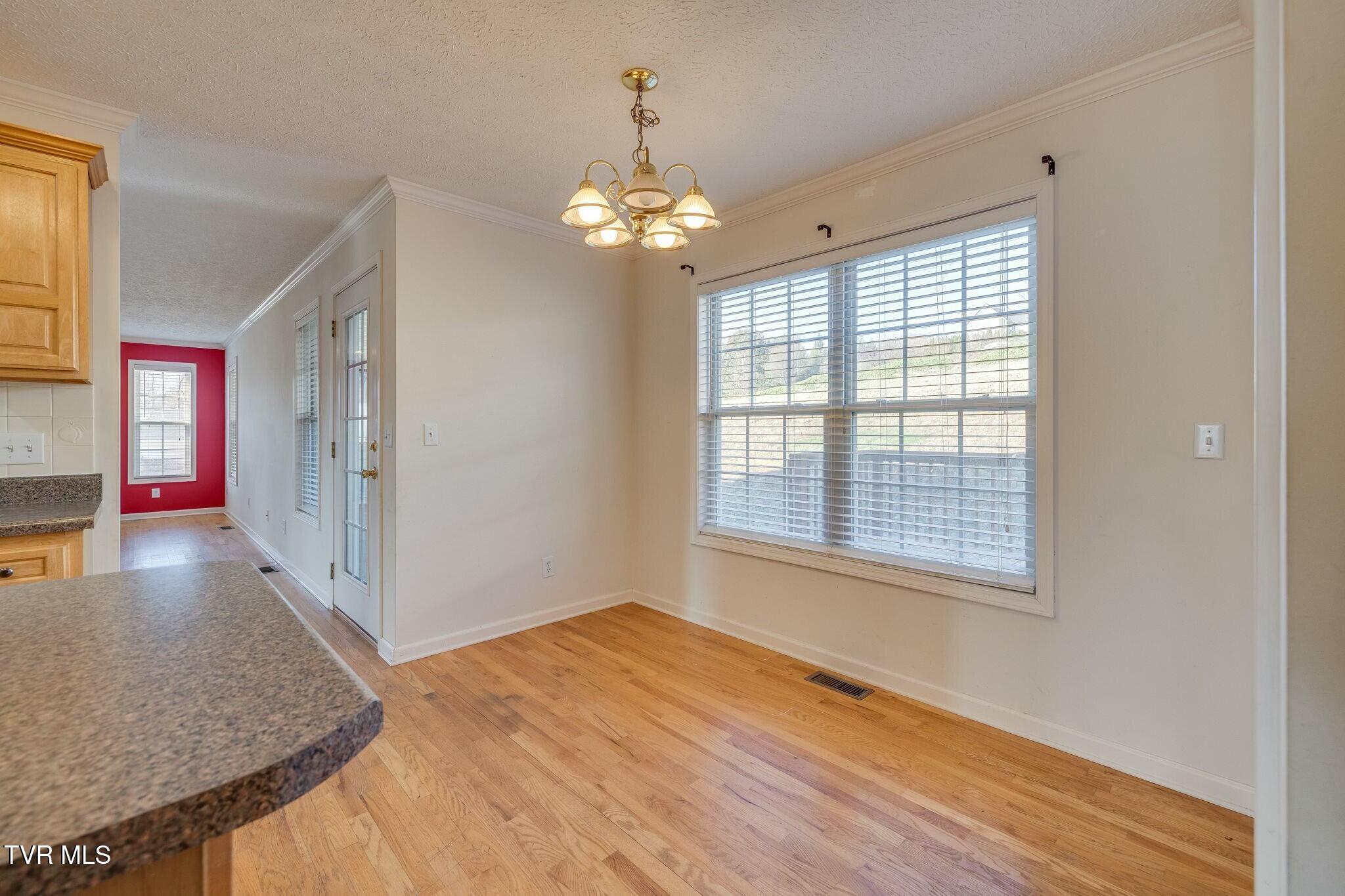 137 Austin Ridge Court Gray, TN 37615 - Photo 14 of 54 tempImageRyu12N