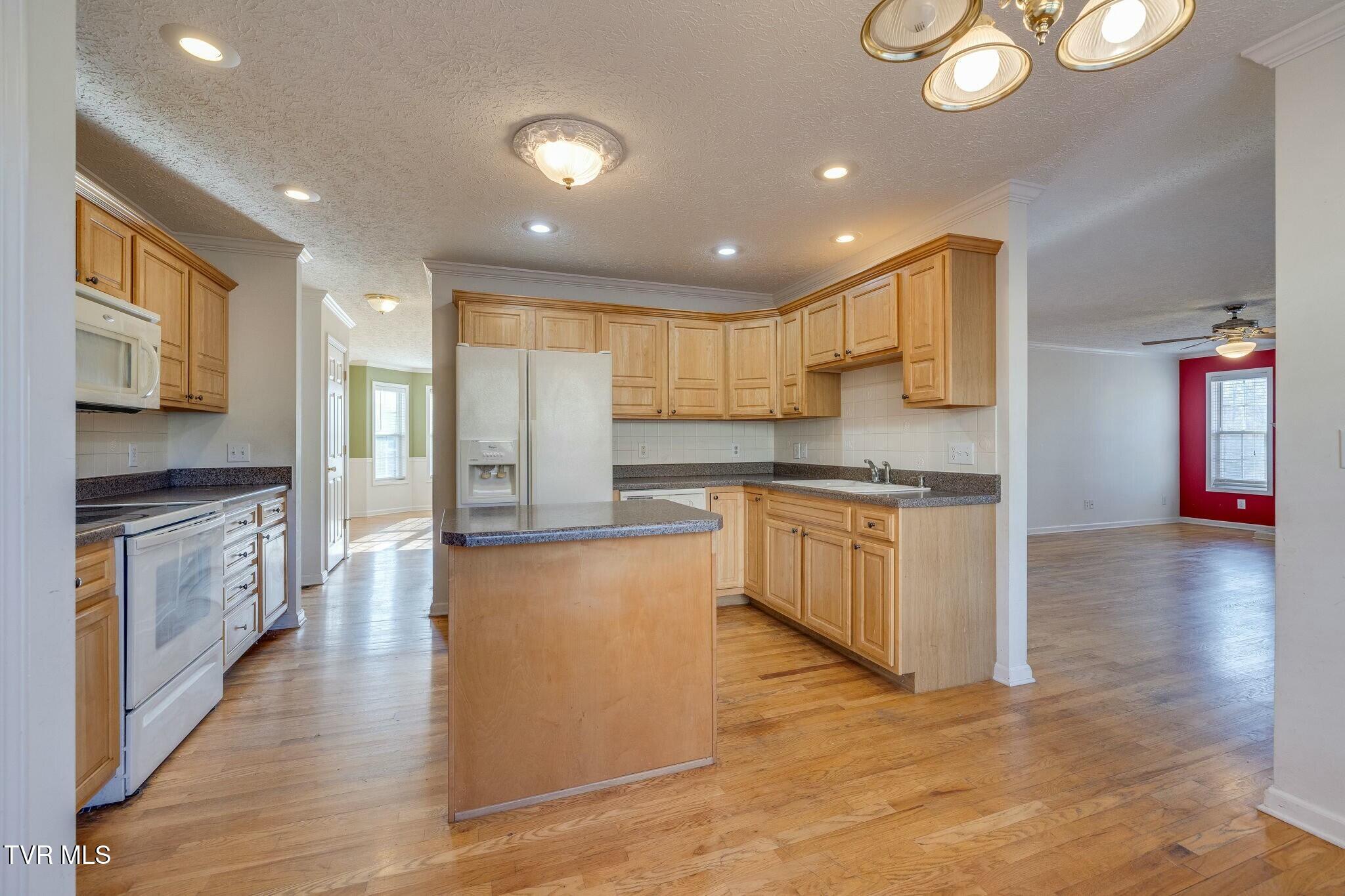 137 Austin Ridge Court Gray, TN 37615 - Photo 15 of 54 tempImagewsprQC