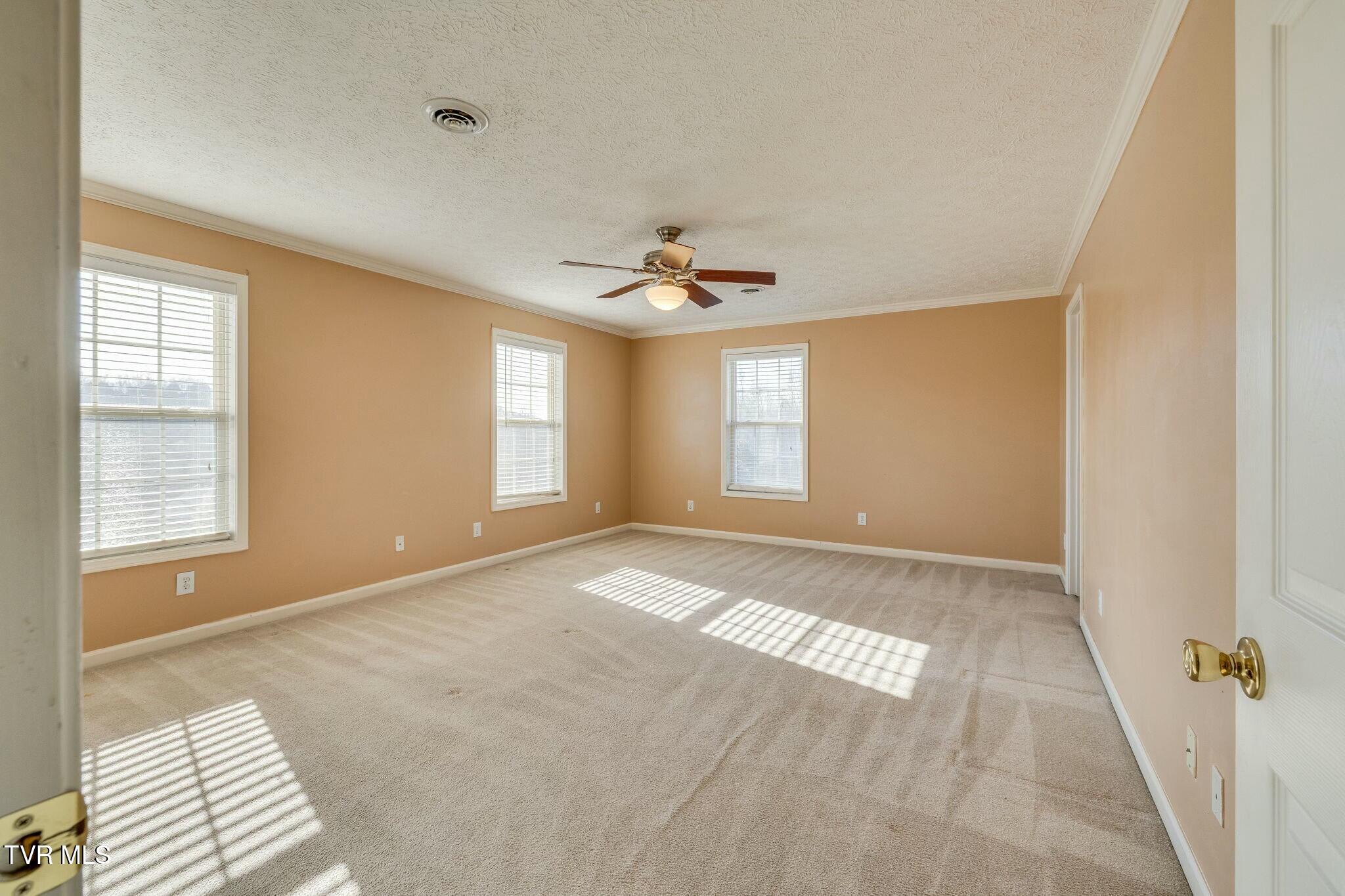 137 Austin Ridge Court Gray, TN 37615 - Photo 24 of 54 tempImageeq1sgW