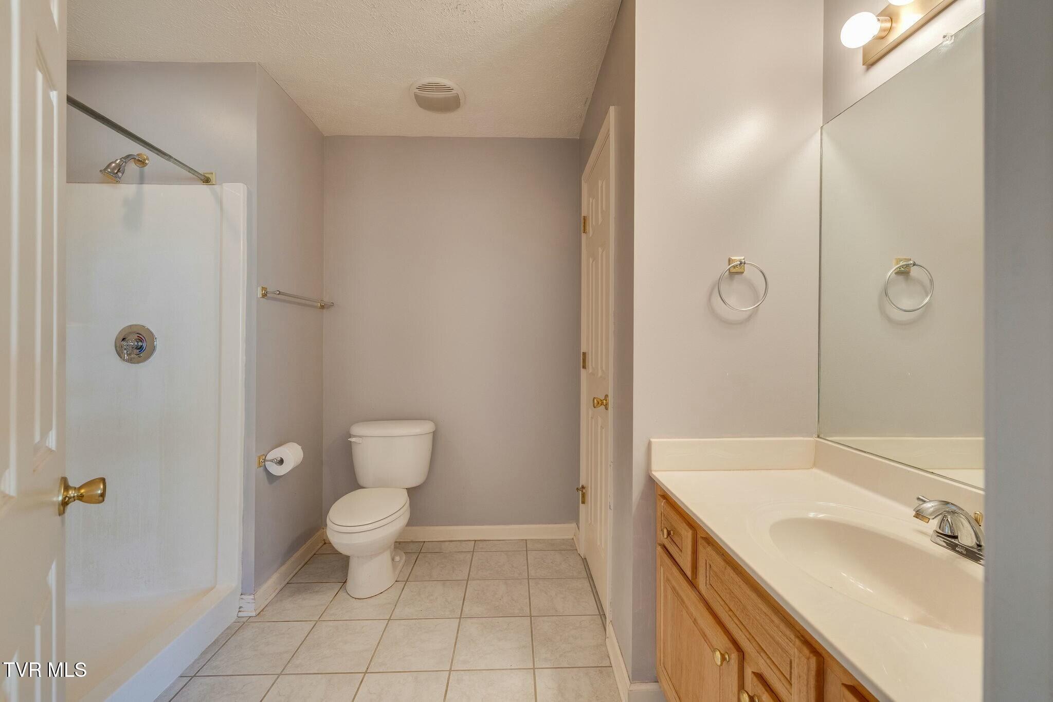 137 Austin Ridge Court Gray, TN 37615 - Photo 33 of 54 tempImagecQTWOo