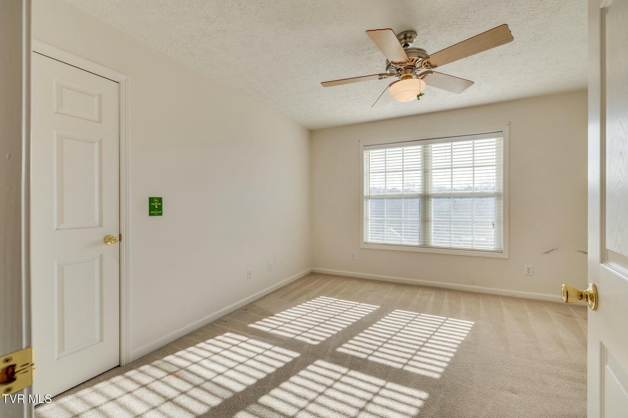 137 Austin Ridge Court Gray, TN 37615 - Photo 34 of 54 tempImagehGdMnJ