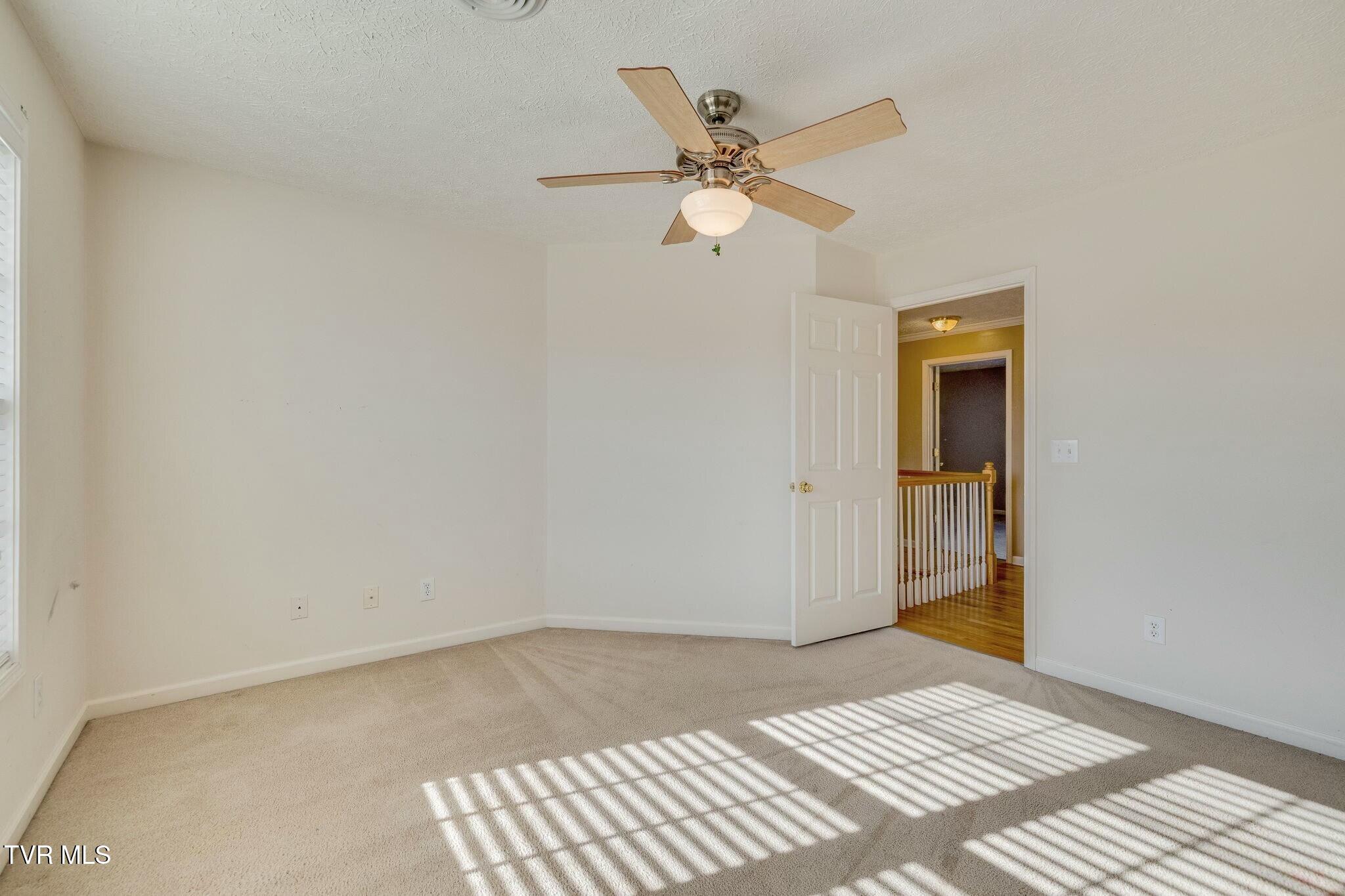 137 Austin Ridge Court Gray, TN 37615 - Photo 36 of 54 tempImageDJV9Ji