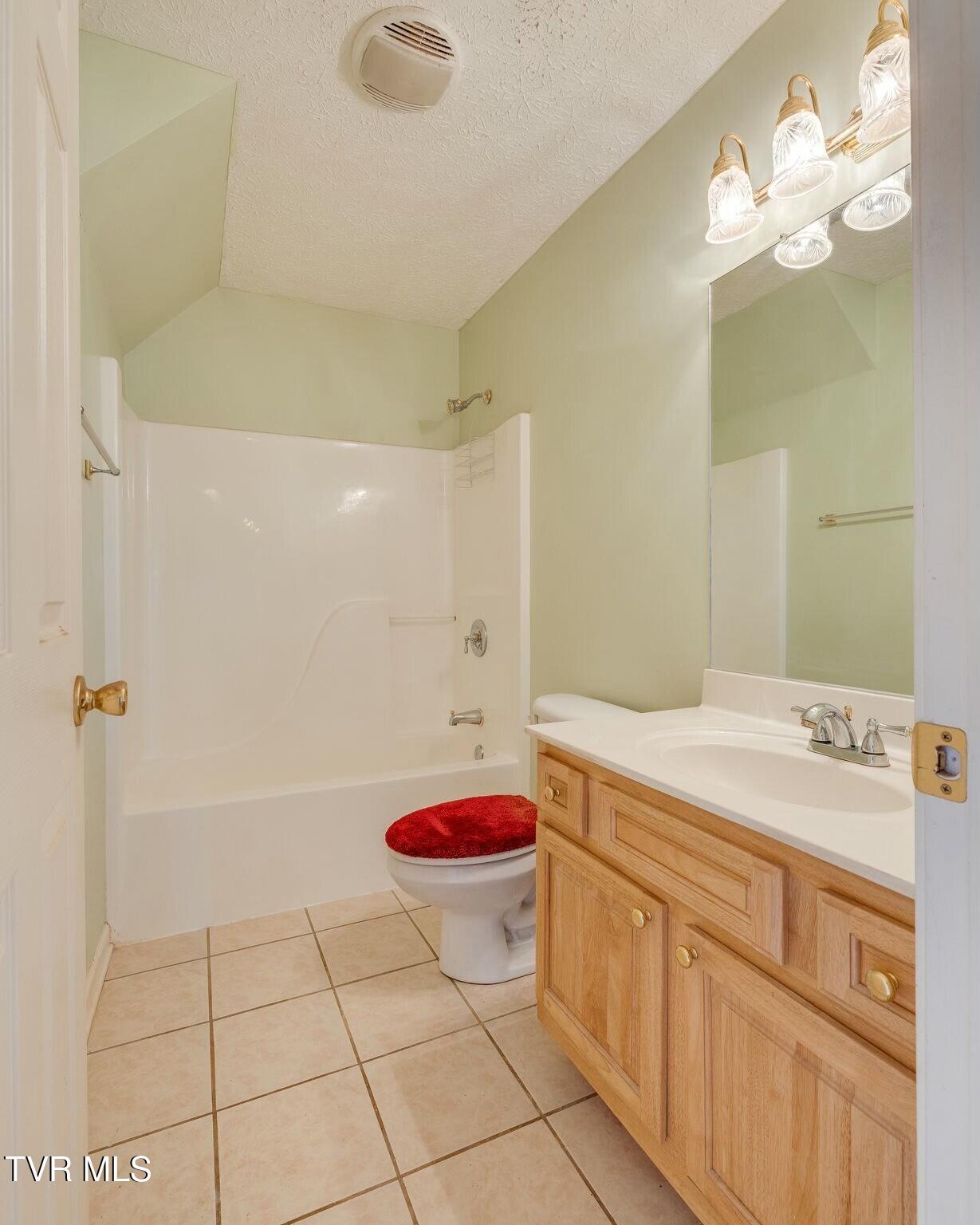 137 Austin Ridge Court Gray, TN 37615 - Photo 37 of 54 tempImagechPm3C