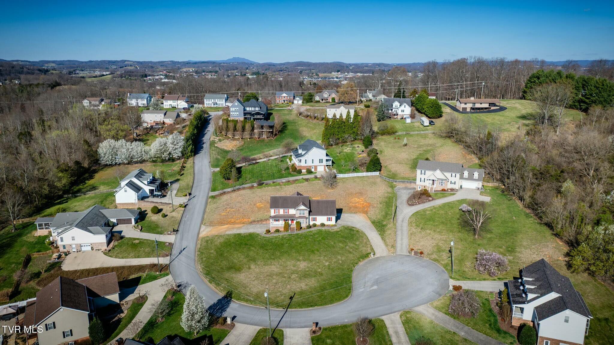 137 Austin Ridge Court Gray, TN 37615 - Photo 50 of 54 tempImagedLuimj