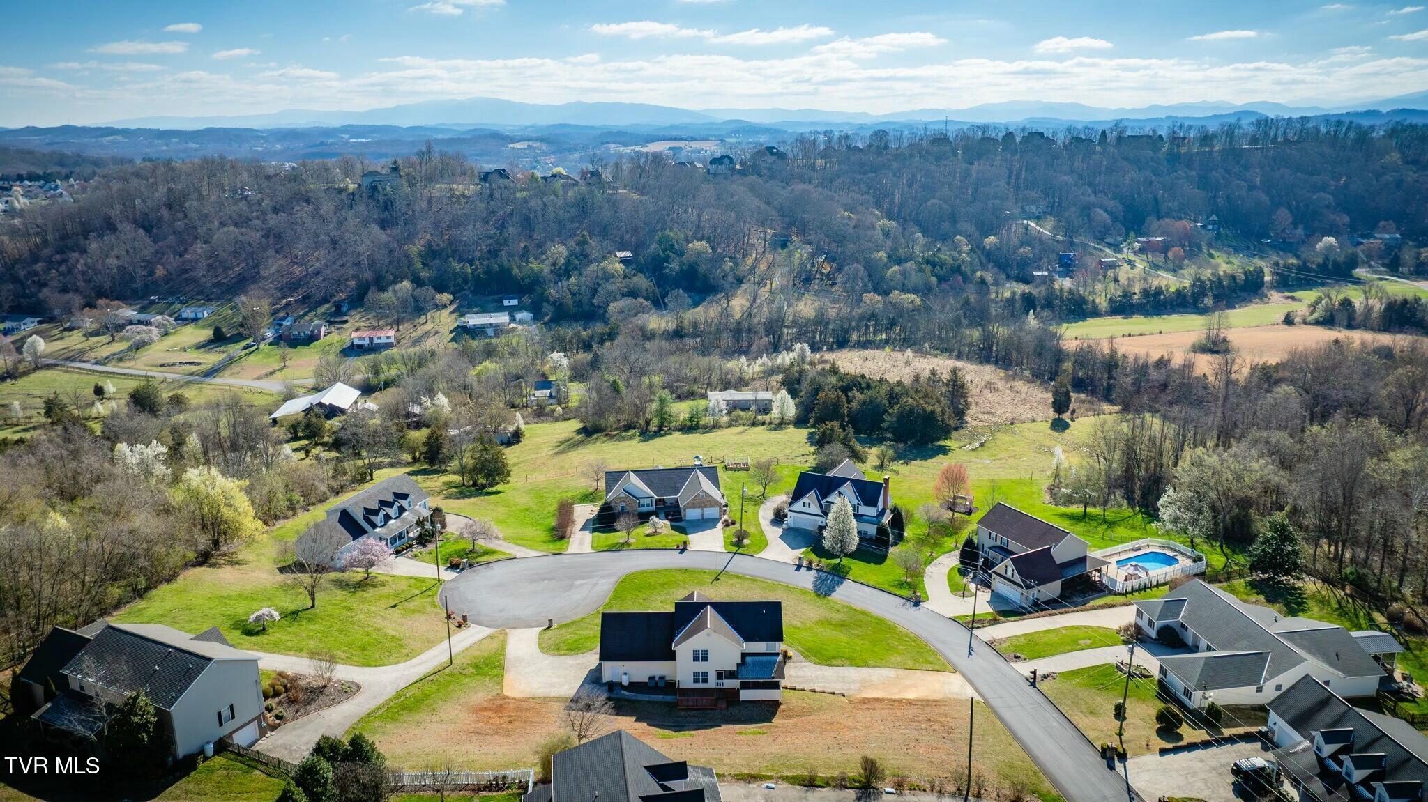 137 Austin Ridge Court Gray, TN 37615 - Photo 51 of 54 tempImage33Yz9P