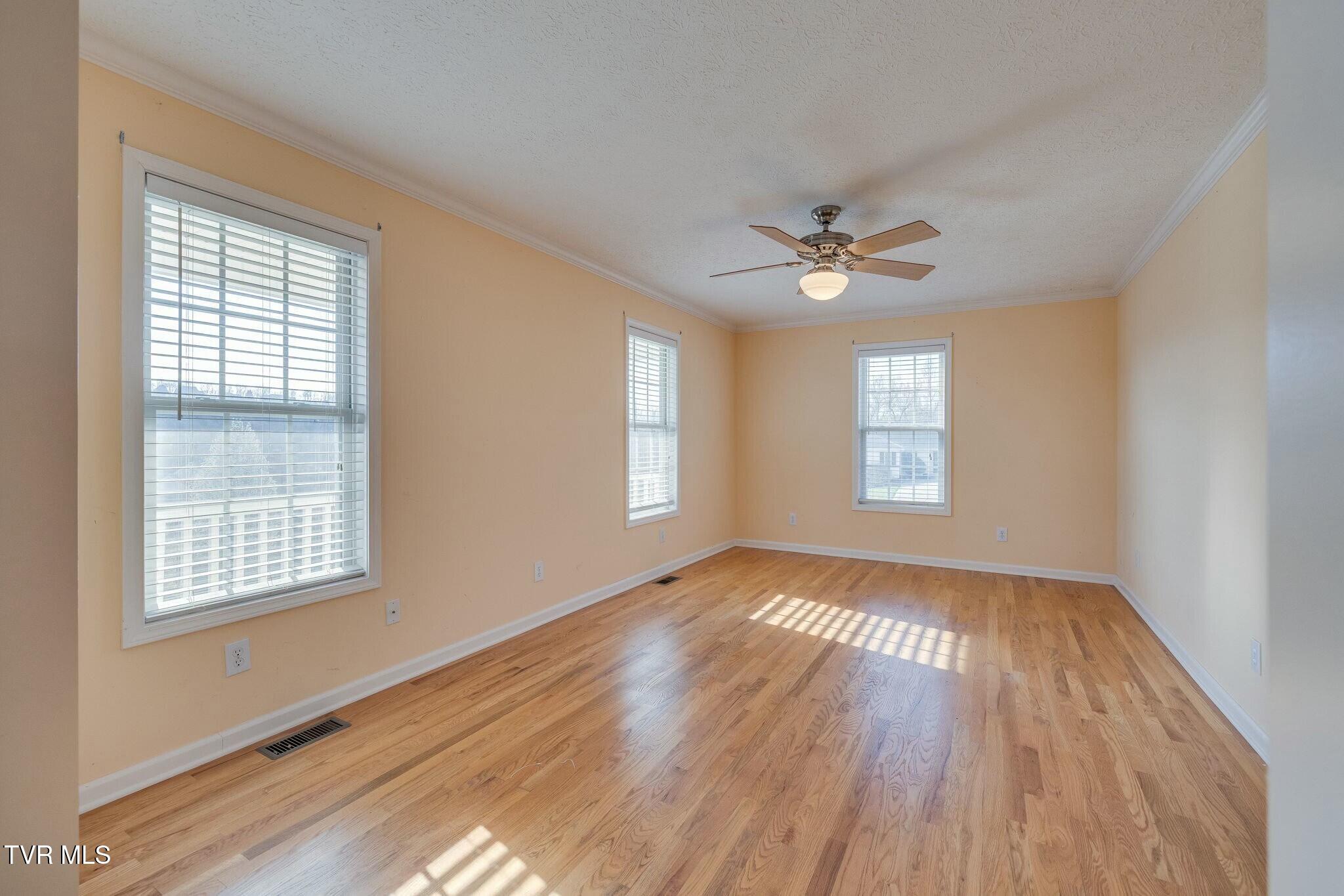 137 Austin Ridge Court Gray, TN 37615 - Photo 7 of 54 tempImagepDaWPg