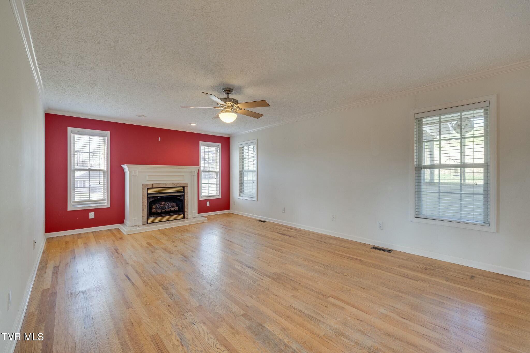 137 Austin Ridge Court Gray, TN 37615 - Photo 10 of 54 tempImagebhRrii