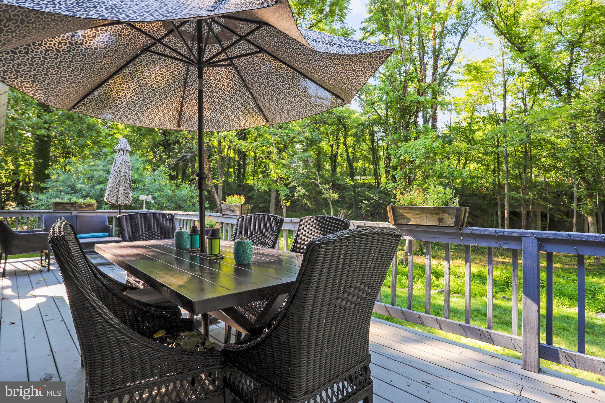36876 Highwater Road Hillsboro, VA 20132 - Photo 48 of 64 Deck off of the kitchen