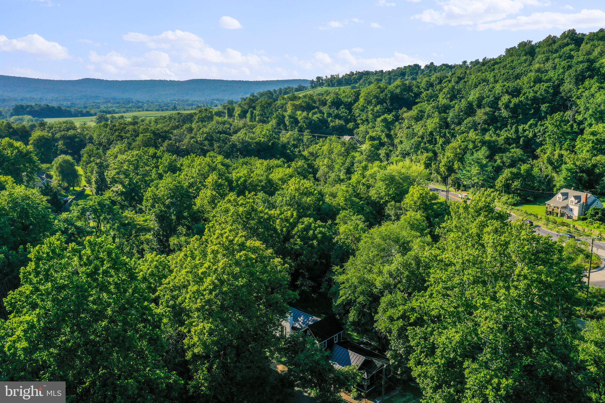 36876 Highwater Road Hillsboro, VA 20132 - Photo 60 of 64