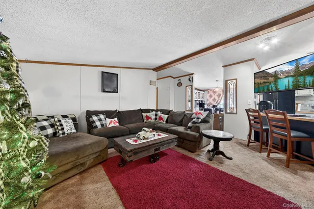 a living room with furniture a rug and a potted plant