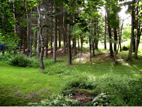 665 West Chenango Road Chenango, NY 13905 - Photo 15 of 16 Gallery Image 15