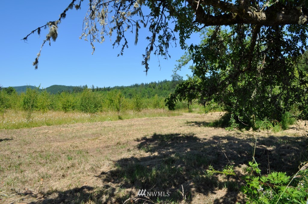 0 Beam Road Chehalis, WA 98532 - Photo 6 of 8