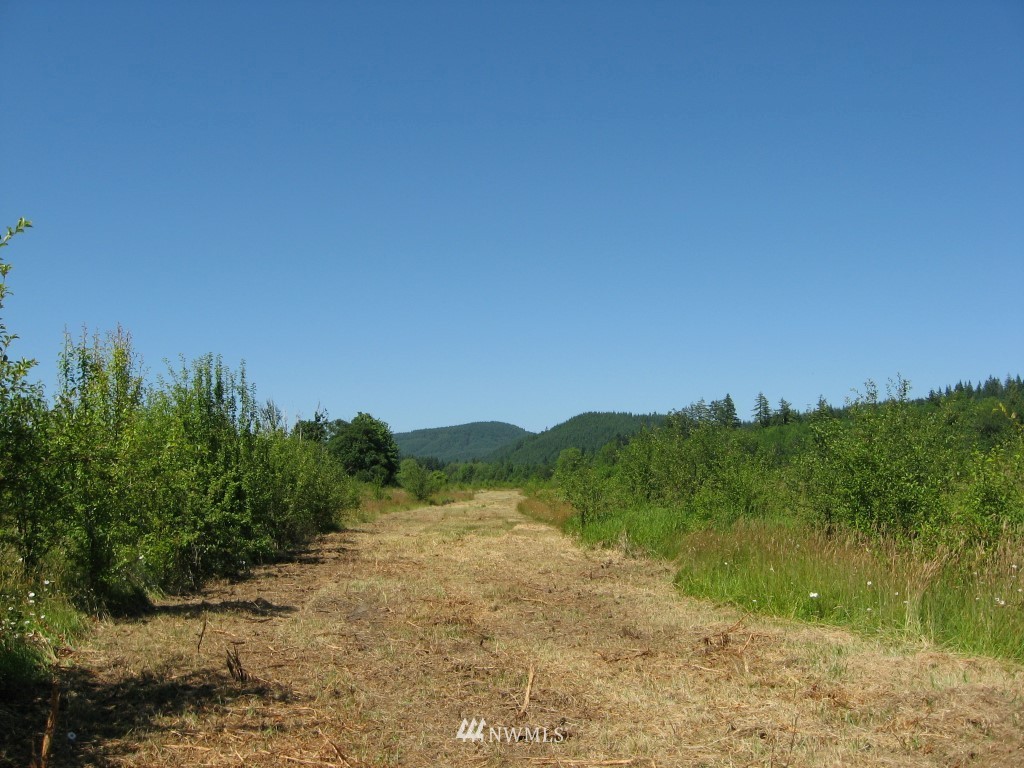 0 Beam Road Chehalis, WA 98532 - Photo 8 of 8