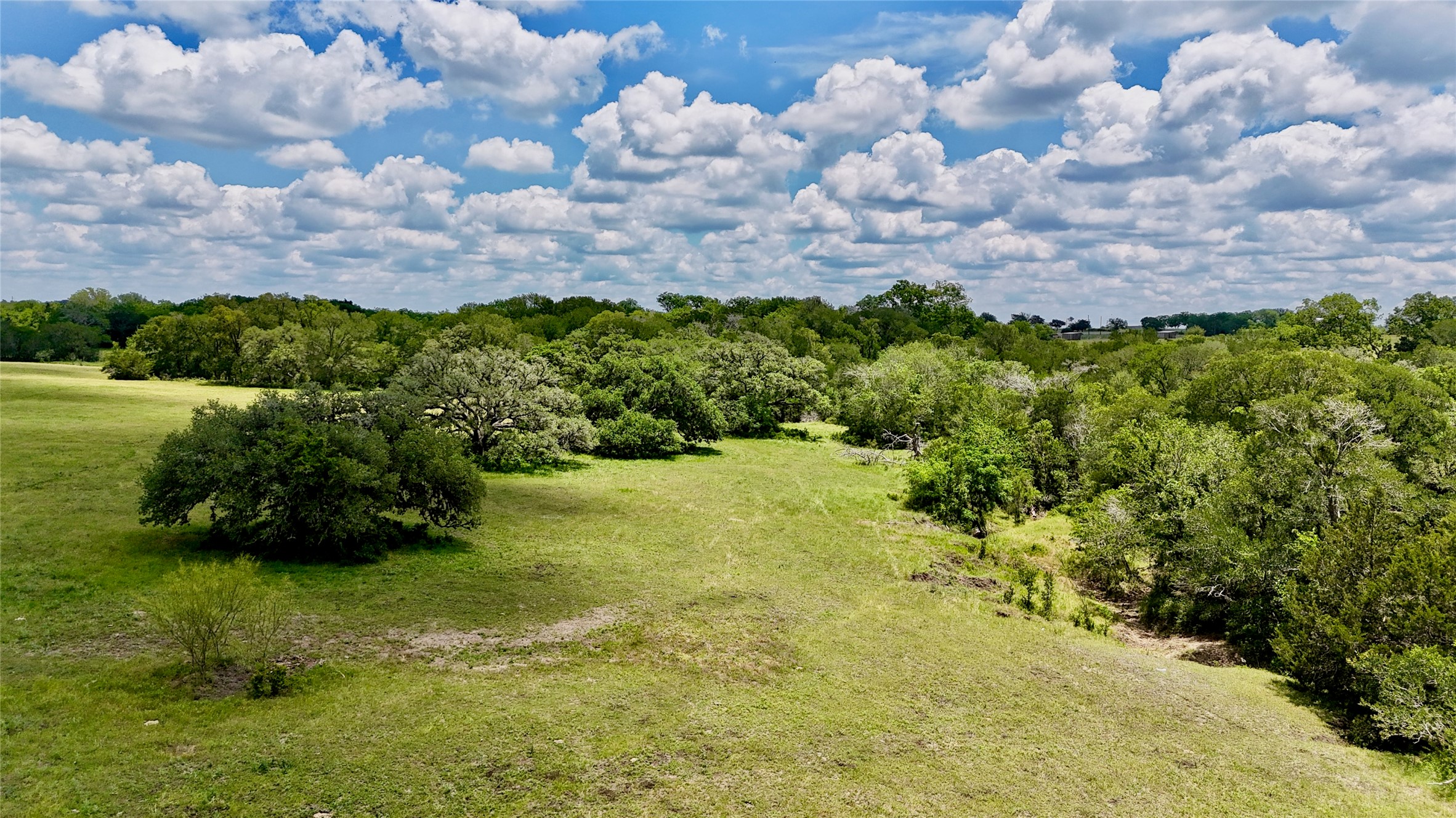 2116 Langdon Road Weimar, TX 78962 - Photo 8 of 43 a view of a bunch of flowers and trees
