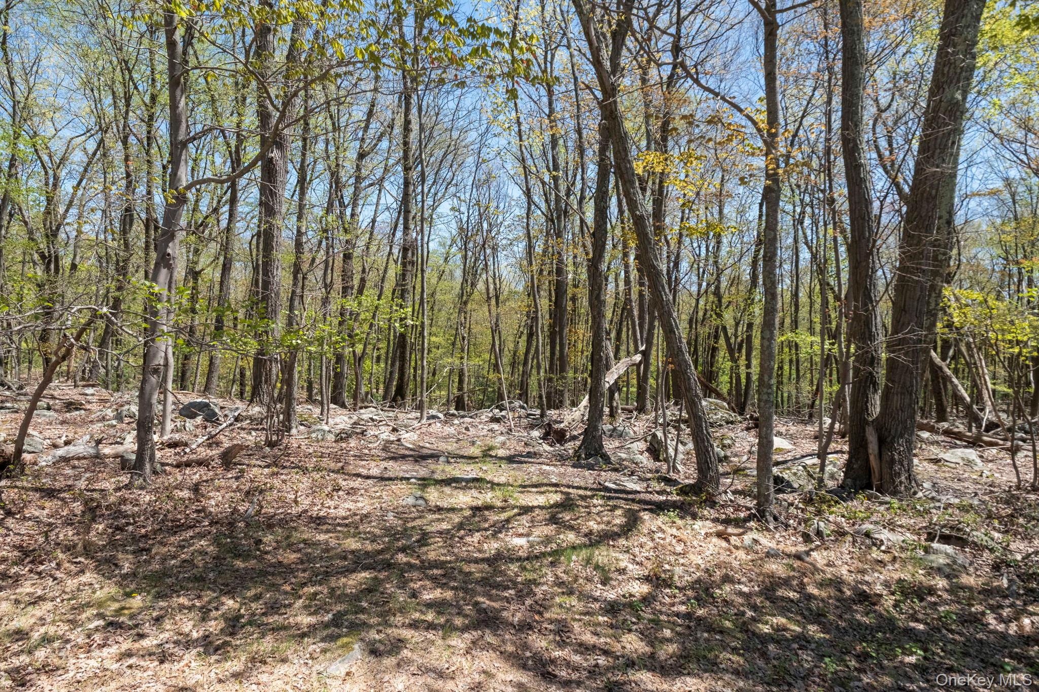 Canal Road Wurtsboro, NY 12790 - Photo 10 of 19