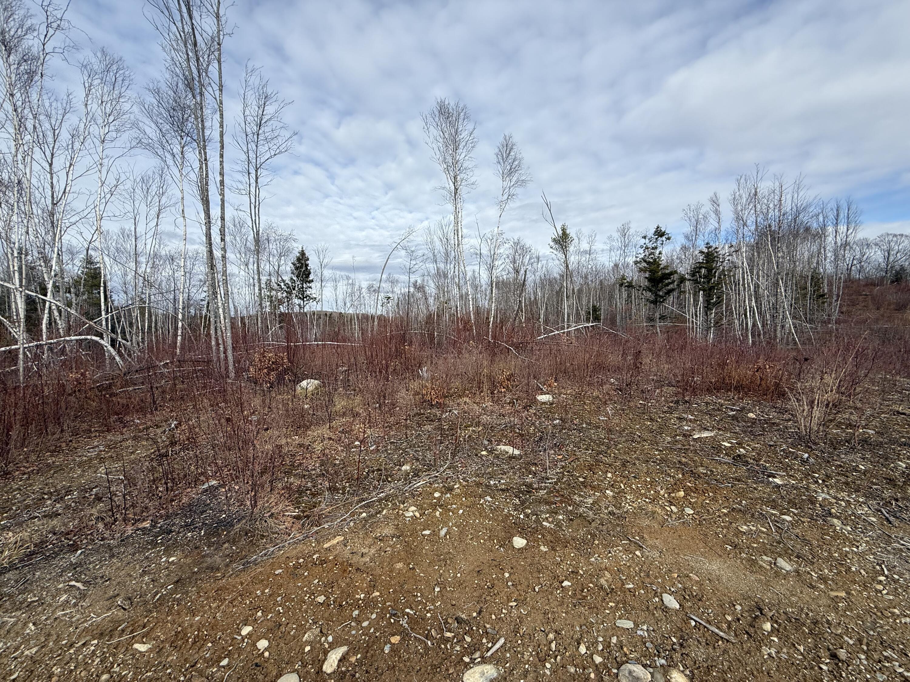 13 Moores Road Springfield, ME 04487 - Photo 2 of 7 IMG_2407