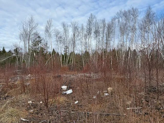 $46,000 | 13 Moores Road, Springfield, ME 04487