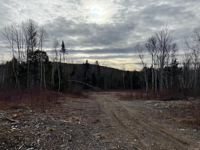 $46,000 | 13 Moores Road, Springfield, ME 04487