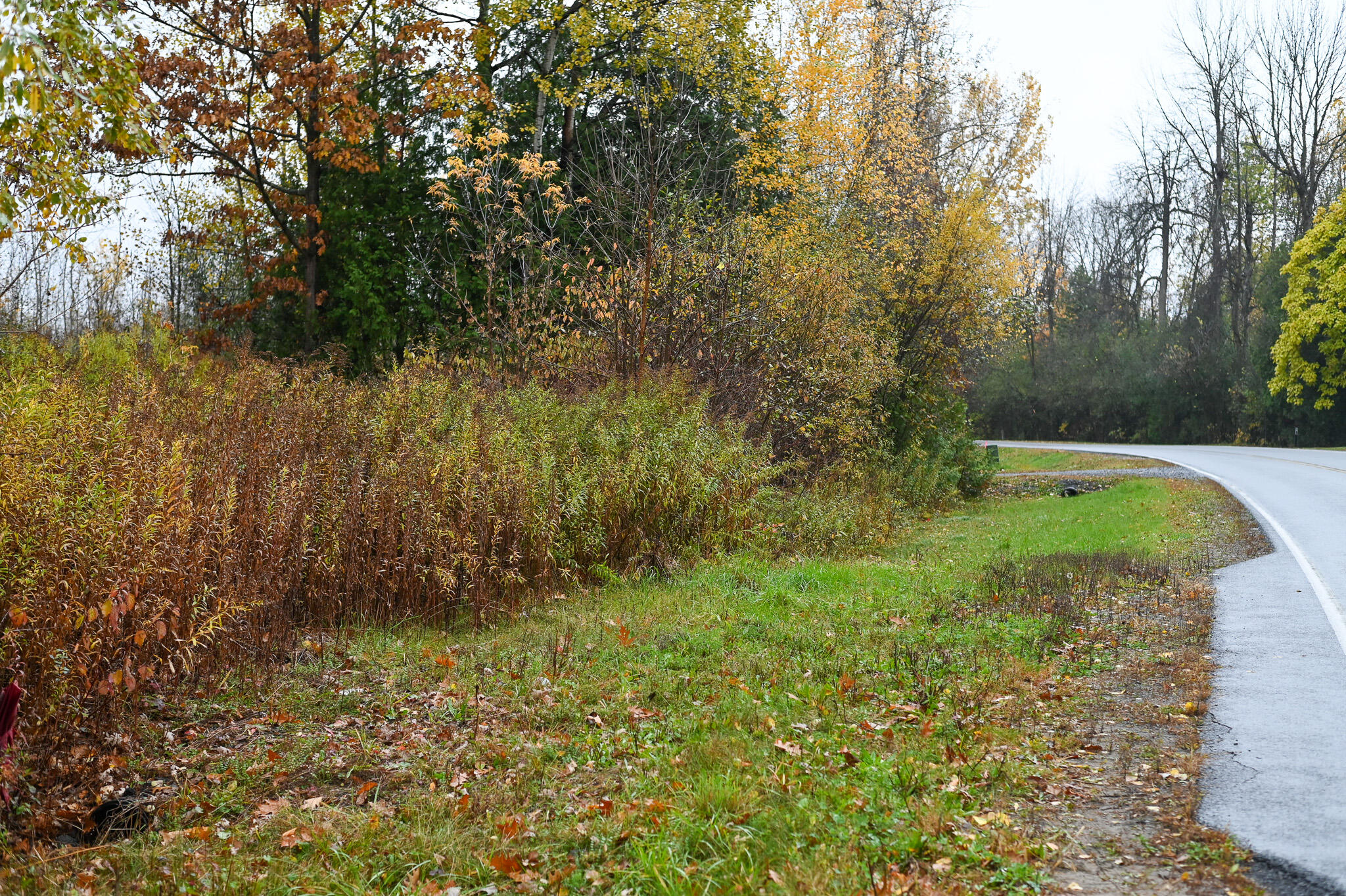 0 Stafford Road Plattsburgh, NY 12901 - Photo 1 of 14 DSC_4085