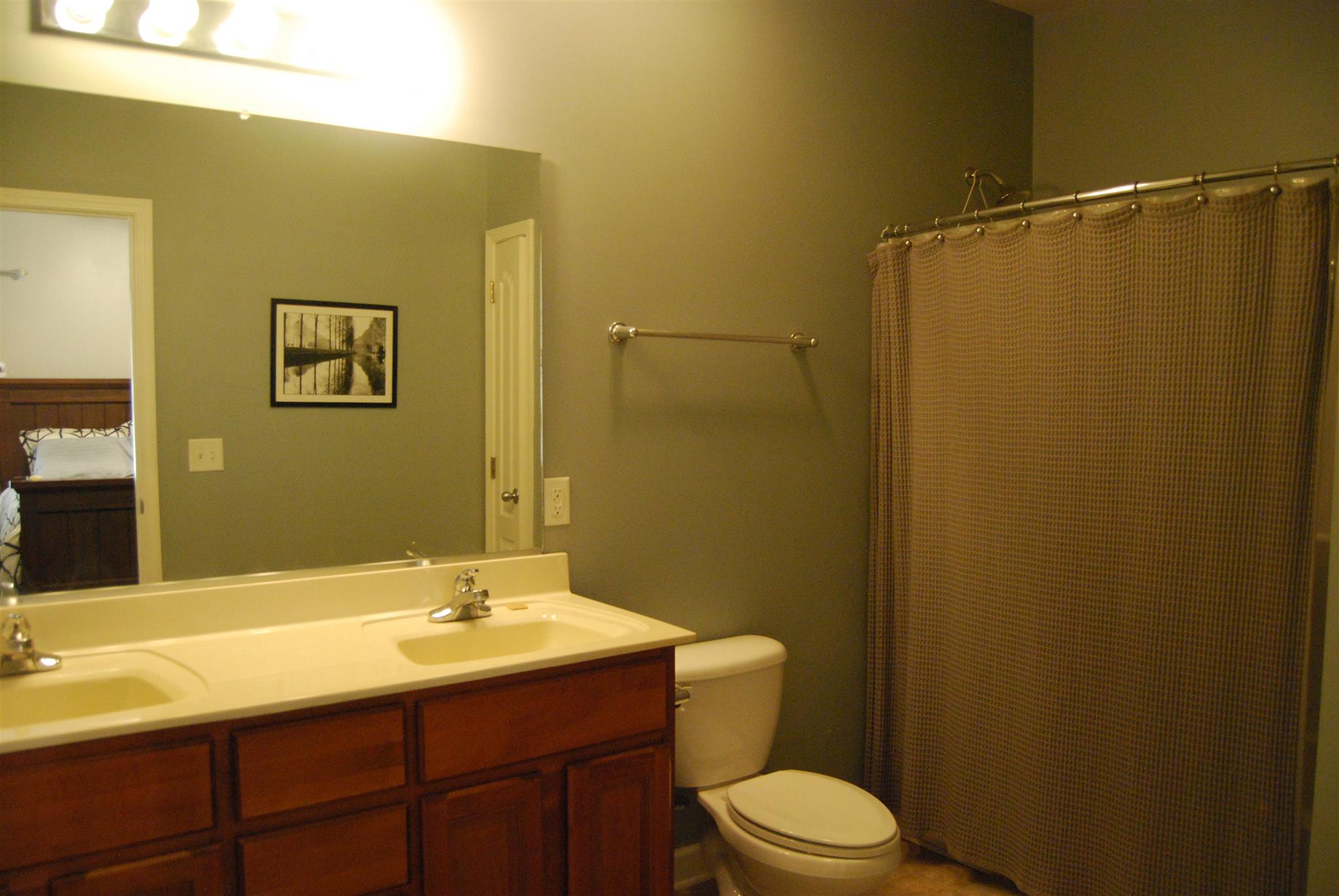 6003 Chickadee Circle Spring Hill, TN 37174 - Photo 12 of 23 a bathroom with a sink mirror vanity and toilet