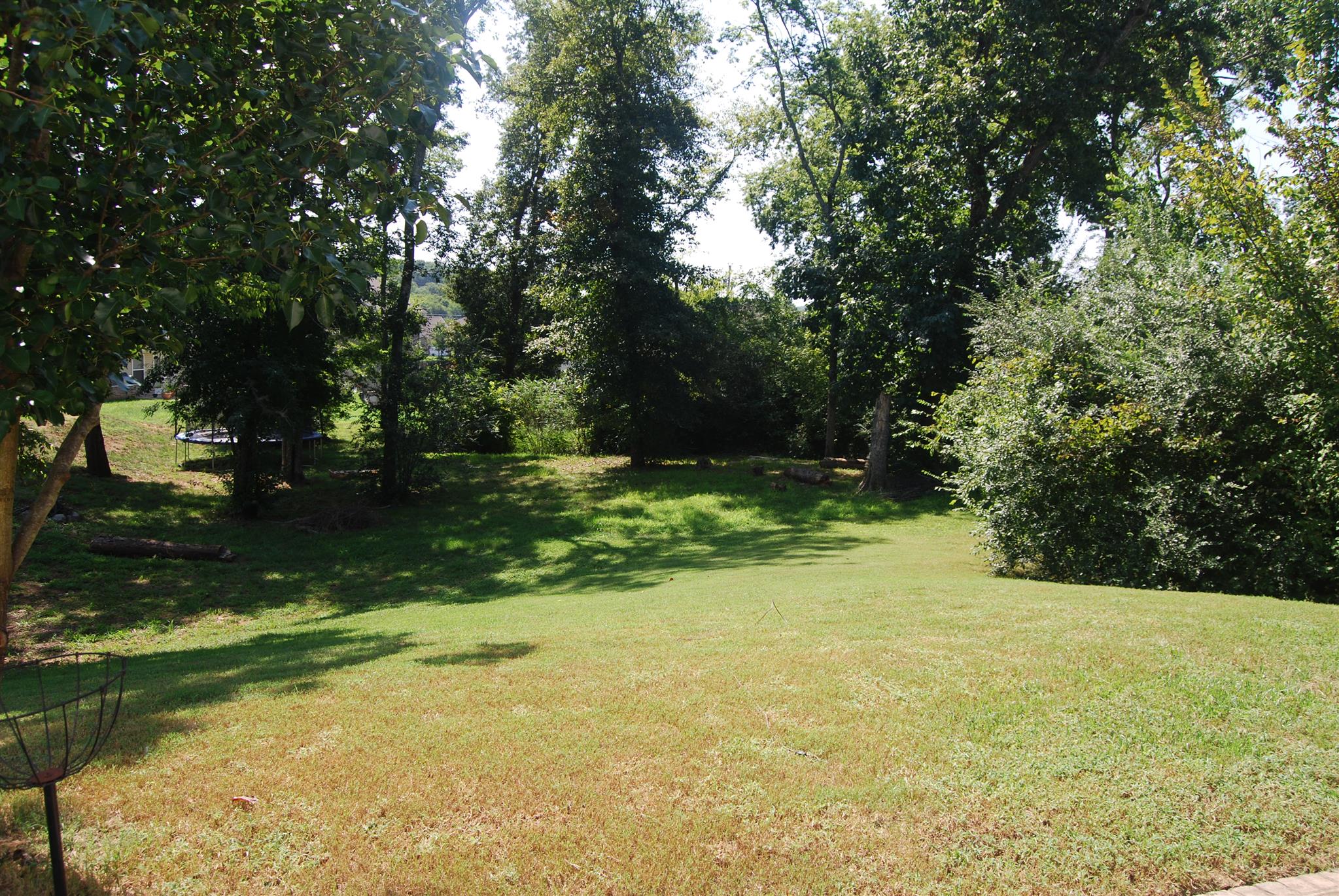 6003 Chickadee Circle Spring Hill, TN 37174 - Photo 22 of 23 a view of yard with green space