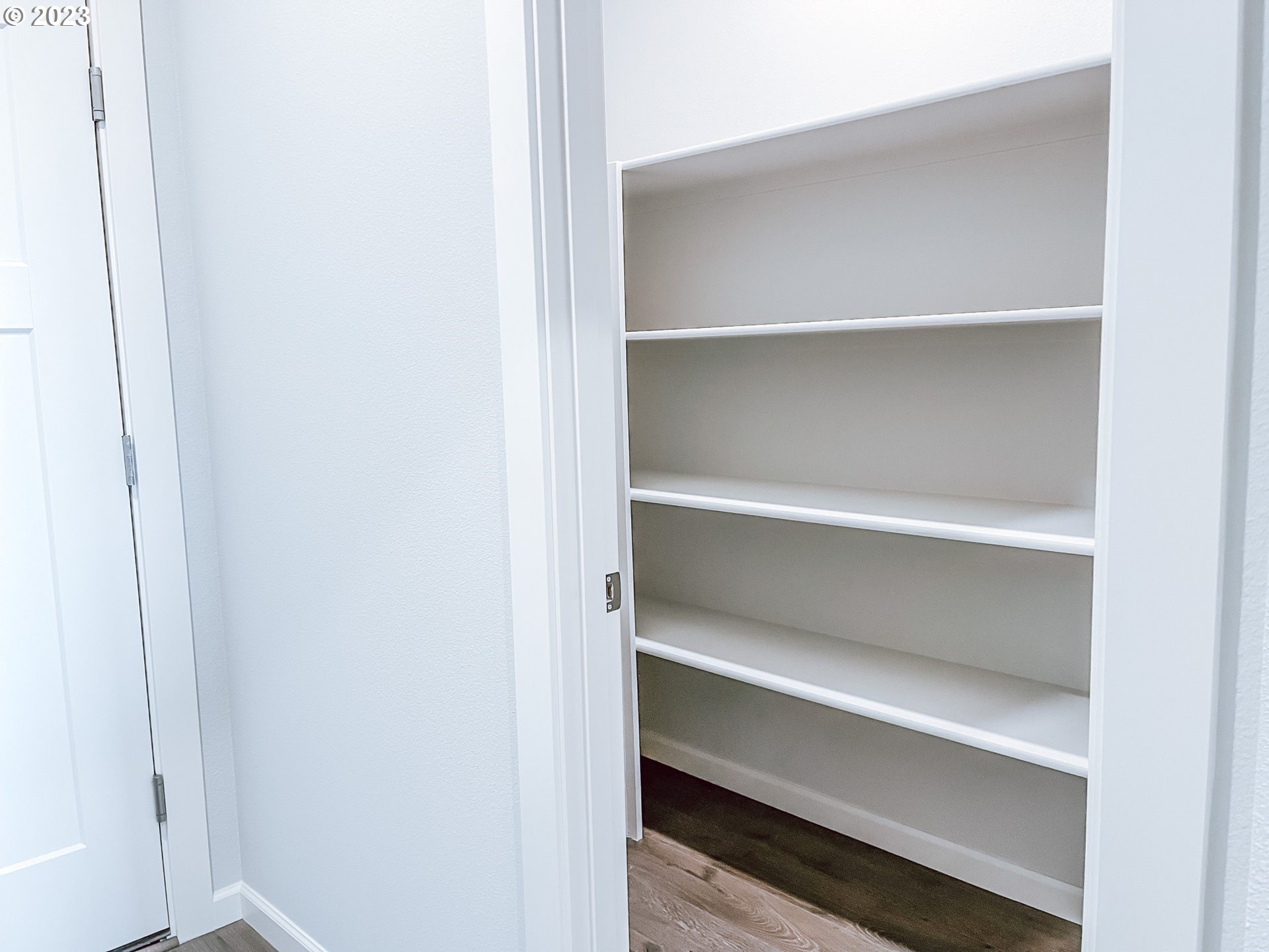 908 South 29th Court Ridgefield, WA 98642 - Photo 5 of 24 a view of walk in closet with empty racks
