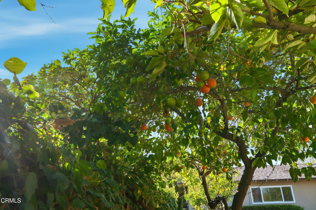 3032 Wallingford Road Pasadena, CA 91107 - Photo 57 of 68 57_3032-54