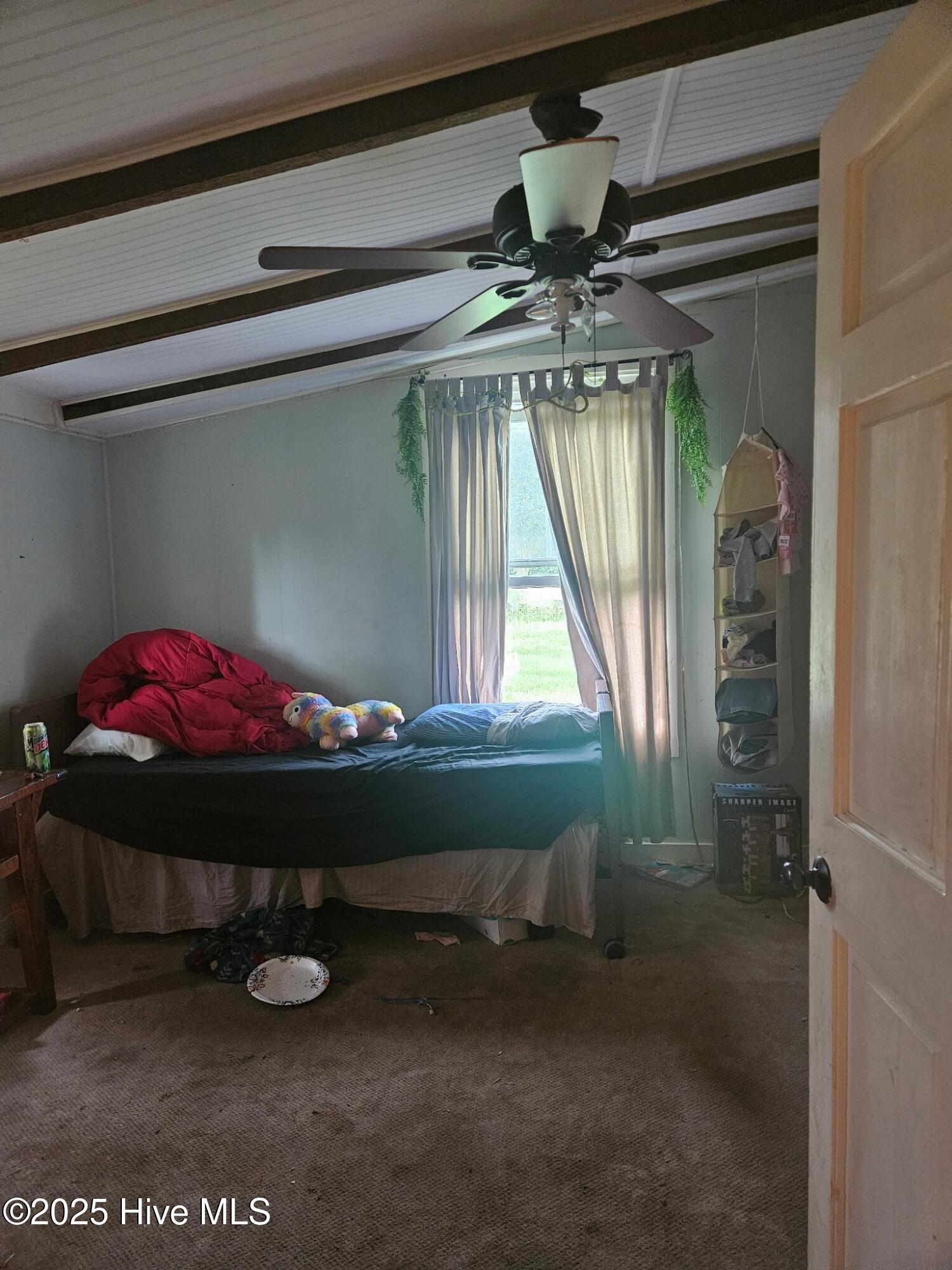 3001 Ebenezer Forest Road Garland, NC 28441 - Photo 12 of 37 3001 Ebenezer 11