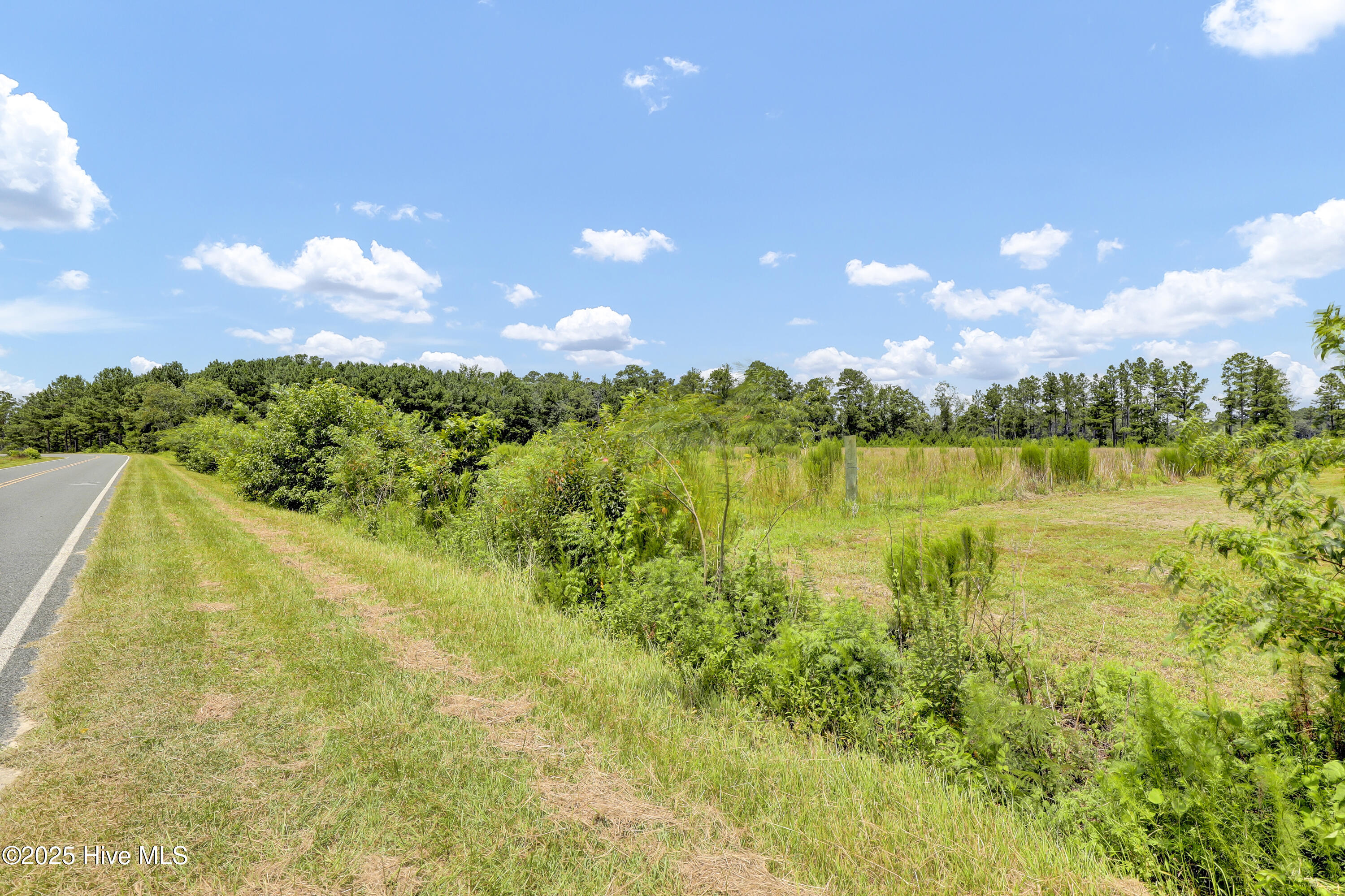 3001 Ebenezer Forest Road Garland, NC 28441 - Photo 28 of 37 6G8A3066