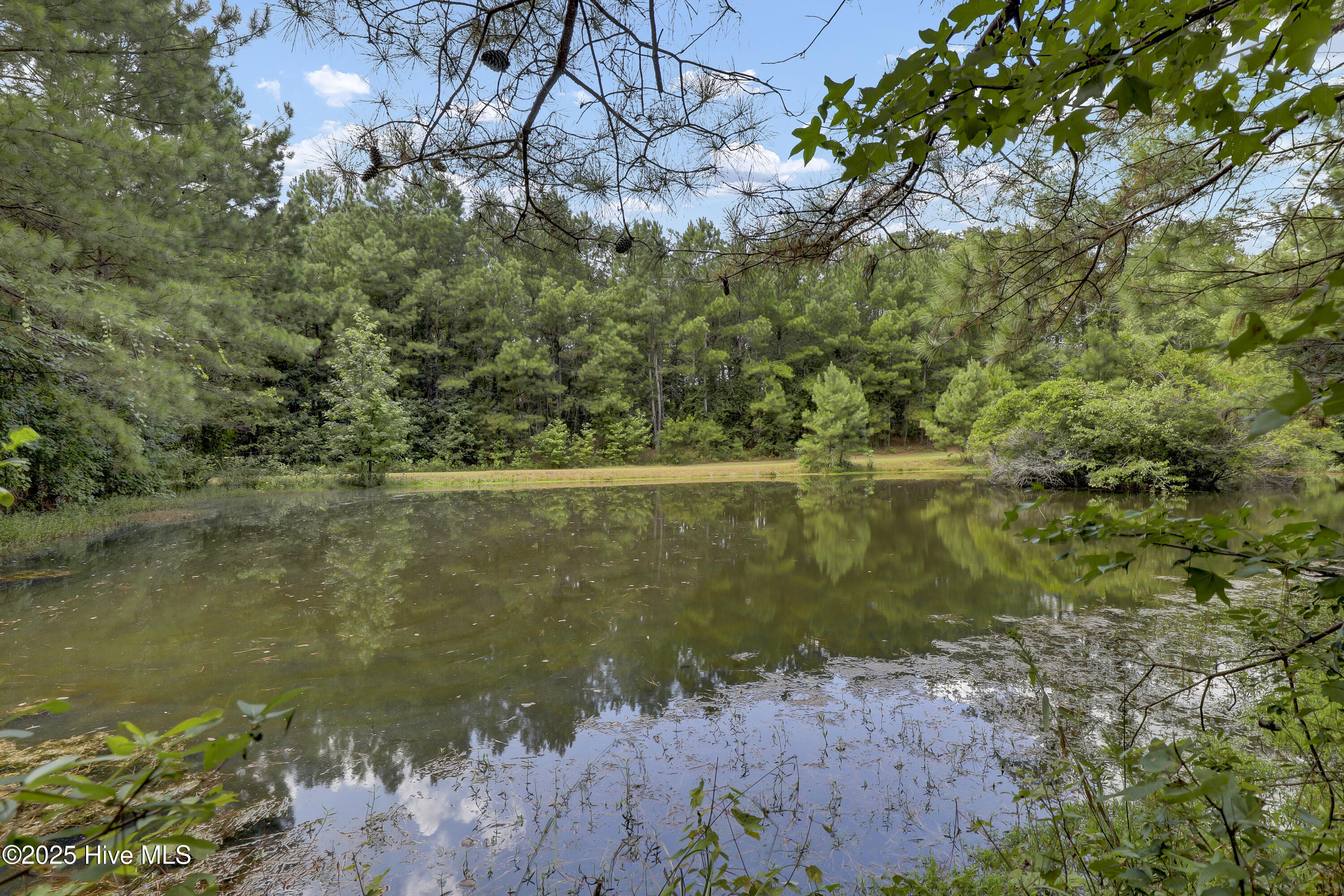 3001 Ebenezer Forest Road Garland, NC 28441 - Photo 36 of 37 6G8A3072