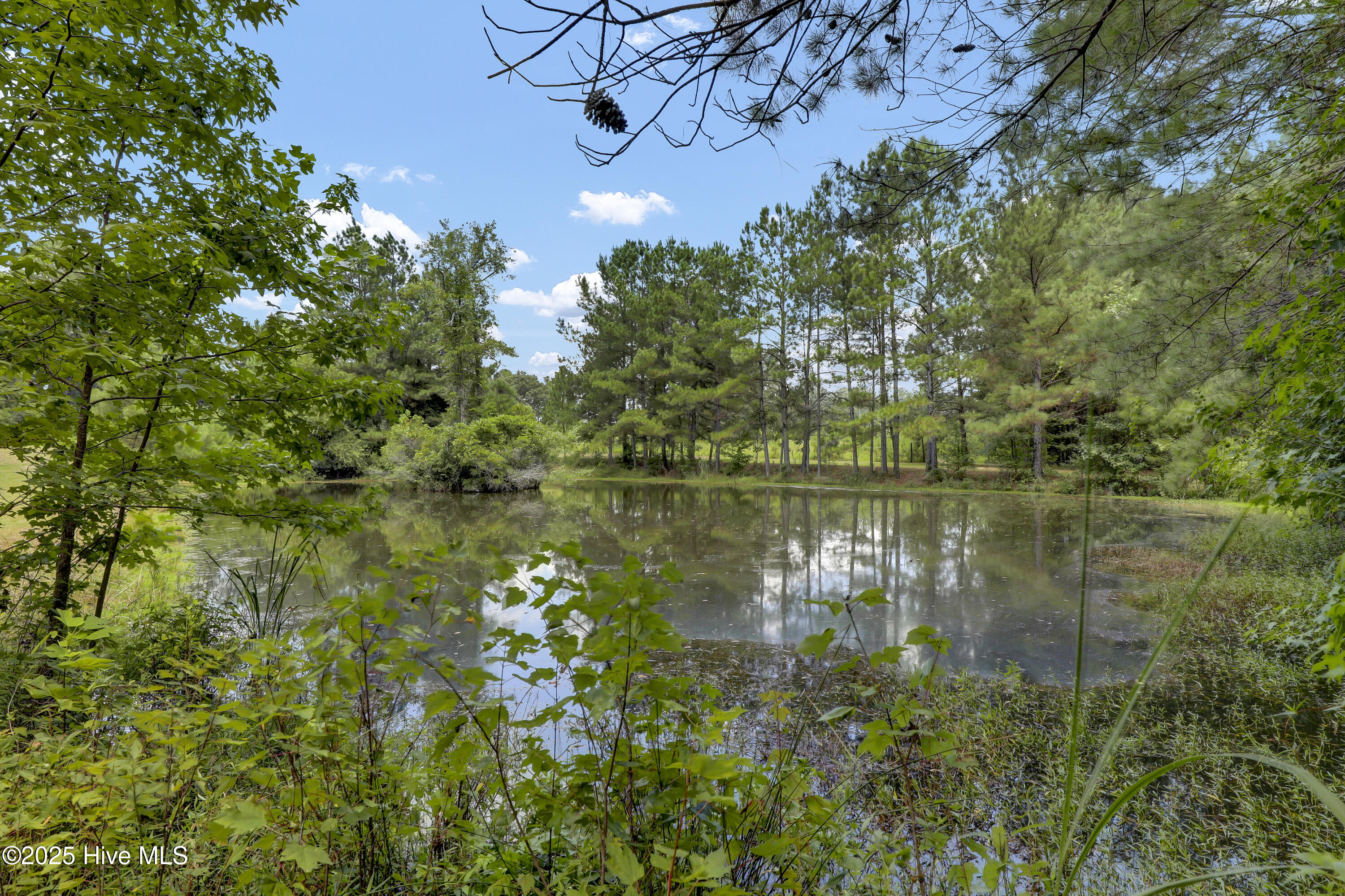3001 Ebenezer Forest Road Garland, NC 28441 - Photo 37 of 37 6G8A3075