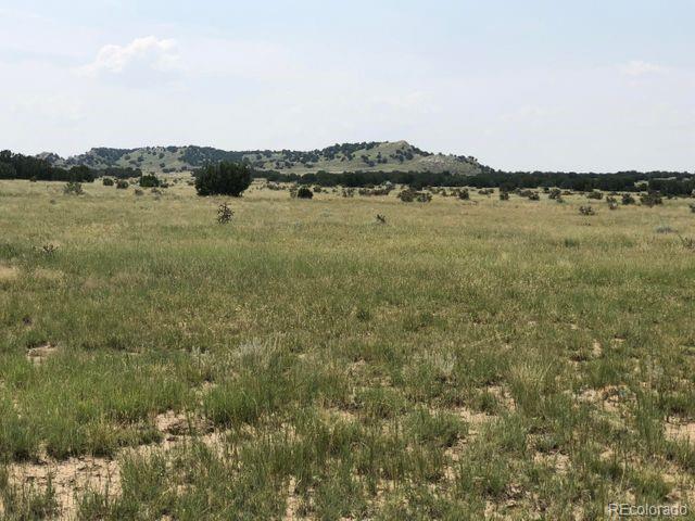 Lot 9 Longhorn Ranch Model, CO 81059 - Photo 6 of 12 Gallery Image 6