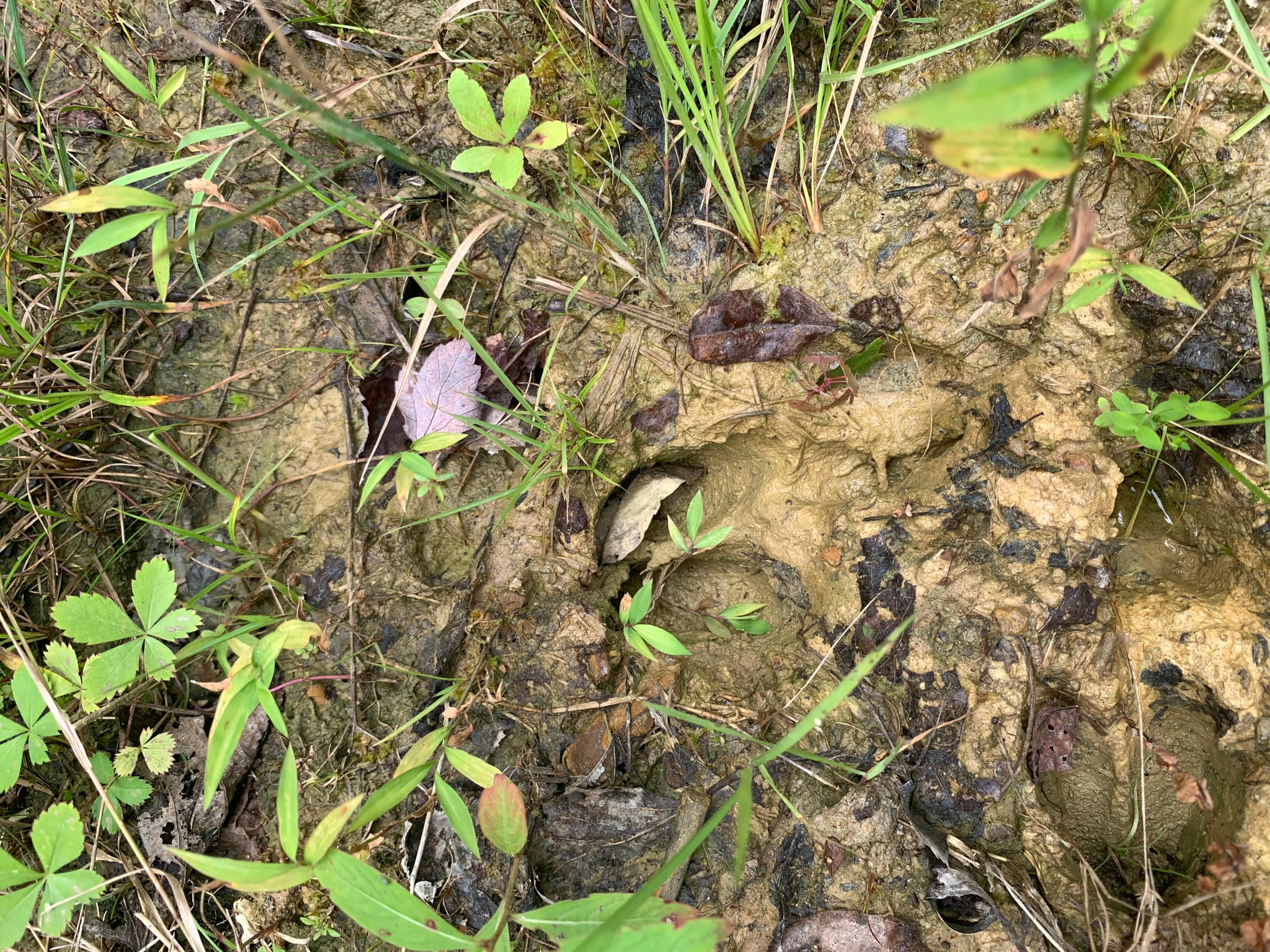 0 Cherry Run Road Northwest Strasburg, OH 44680 - Photo 20 of 35 20200831_183919069_iOS