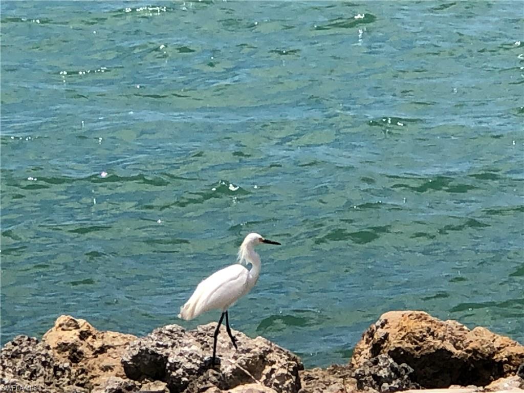 410 Cristobal Street Naples, FL 34113 - Photo 28 of 50 a view of a backyard with a sink