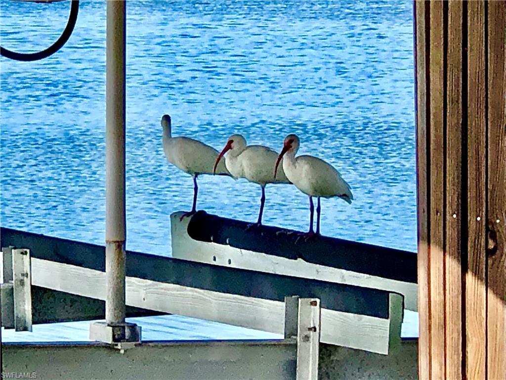 410 Cristobal Street Naples, FL 34113 - Photo 37 of 50 a view of entryway