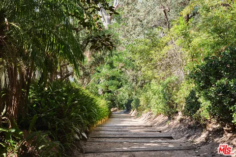 a view of a lush green space