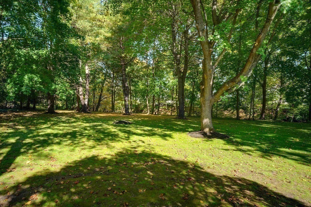 6 Saddle Club Road Lexington, MA 02420 - Photo 25 of 32 Gallery Image 25