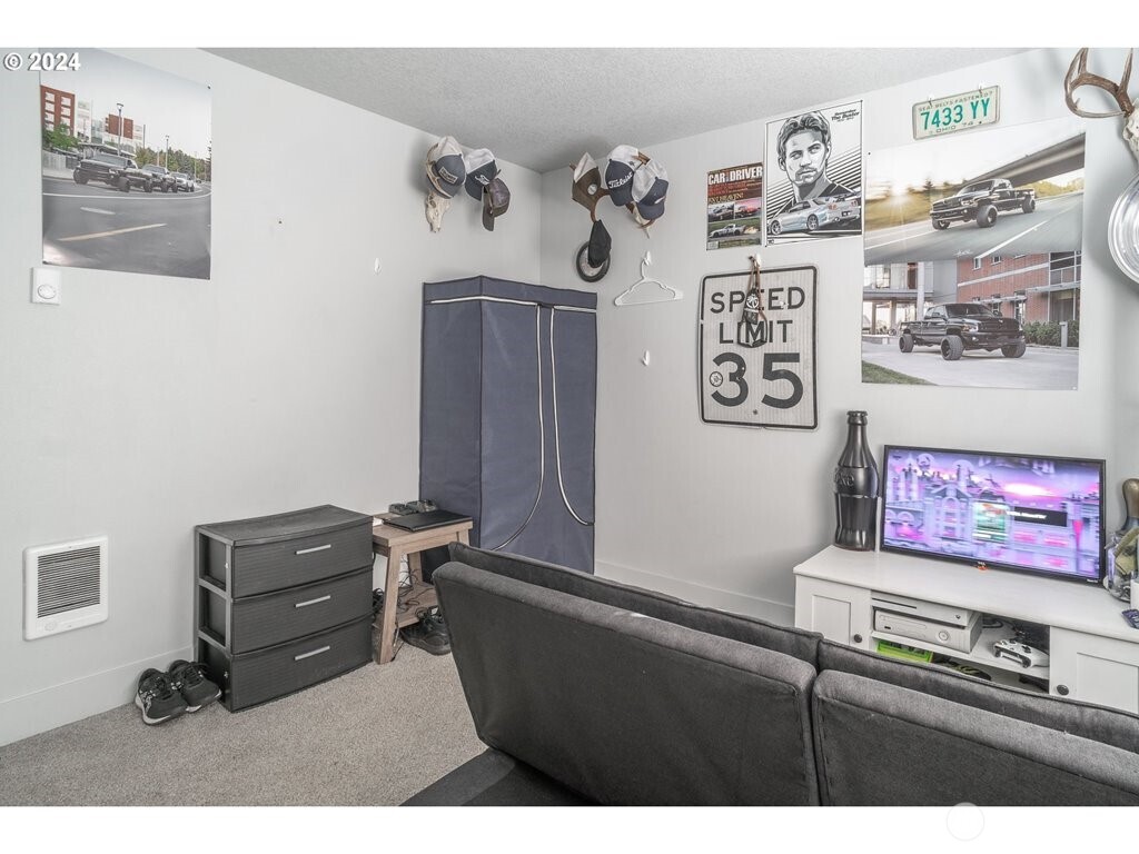 213 Oak Street Winlock, WA 98596 - Photo 29 of 32 a living room with couch and a flat screen tv